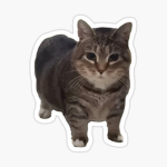 ICF | International Competitive Football