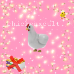 The Official Chicken Cult.
