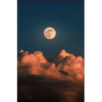 :||:Moonlight group:||: