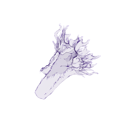 Dragon Head