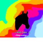 Wild Oaks Riding Academy!