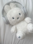 ~miffy hangout~
