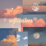 softii vibes