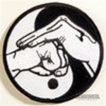 Taekwondo ITS