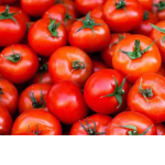 Tomato Armyy