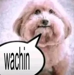 PUM!!!! Group Thumbnail