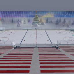 Canadian Tire Center