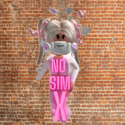 NO SImulator x