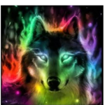 The wolf spuad
