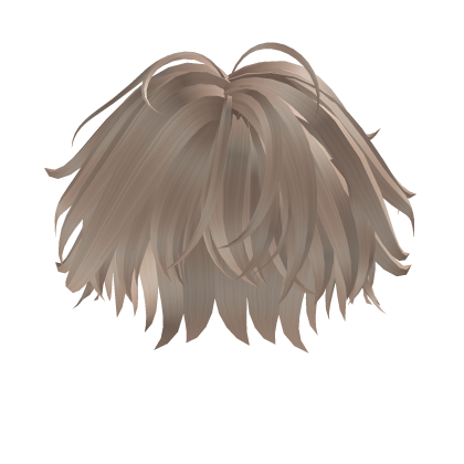 Curly boy mullet anime hair Roblox item