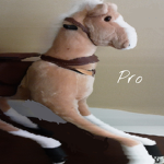 The group for pro’s