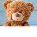 the best teddy bears