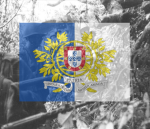 [UL} Forças Armadas Portuguesas