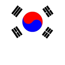 한국 부대 icon