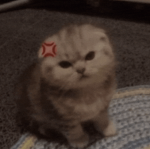 ap찐다초밥그룹