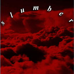 $lumber