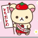 Rainbow_flower