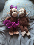 Georgie and Georgina fan club