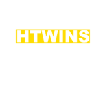 h-twins fans