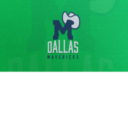 [RO-NBA] American Airlines Center