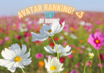 Avatar Ranking Staff Group!