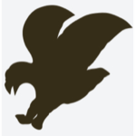 Buzzard Dojo
