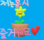 Republic Of Korea Army (R.O.K.A)