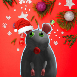 RAT PARADISE: Legacy