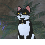 .Kitty-Cats_Crew .