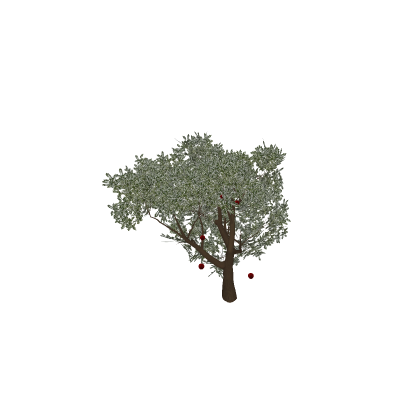 APPLE TREEEEEEE