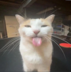 goobaglob kingdom