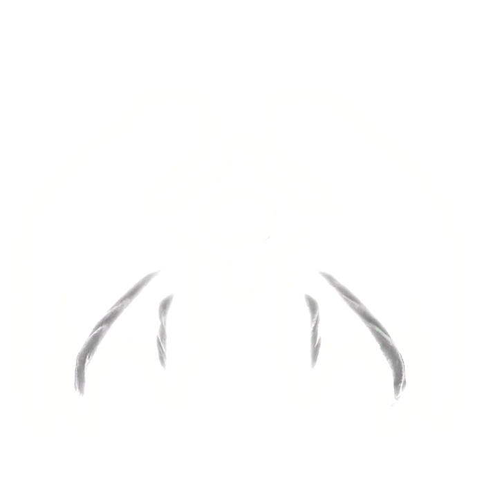 Angel Wings