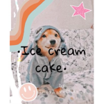 •Ice cream cake•