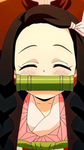 Nezuko fan group box