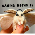 Gaming Moths