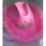 •XrobloxarmeX•