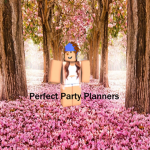 Perfect Party Planners