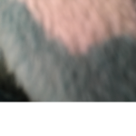 Brandon needs help