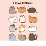 My cat and me