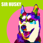 - Husky Studios -