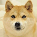 Doge Mafia [DM] 1949