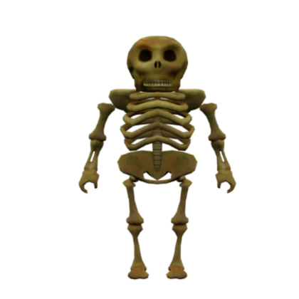 Skeleton