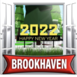 Brookhaven Role Plays :)