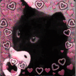q(≧▽≦q)