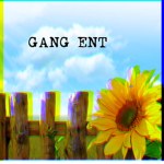 Gang Ent™