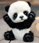 Marinine Pandice!