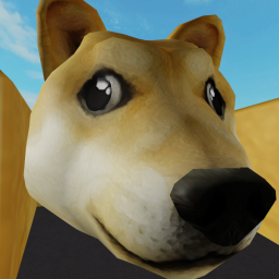 Doge City