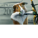 Rat arrow
