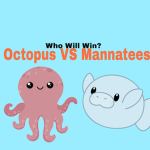 The Sea Creatures Club(Octopus VS. Mannatees)