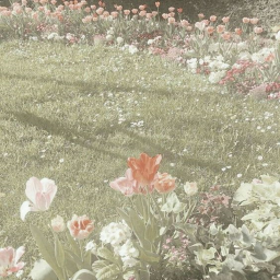 ୨୧